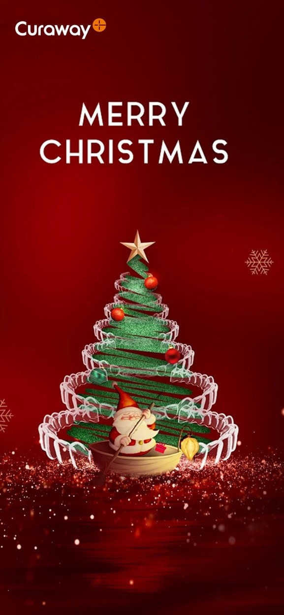 Merry Christmas
